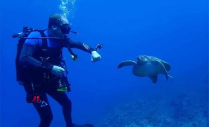 Leahy, under water, watches as a sea turtle nears him, bubbles rise from his SCUBA mask.