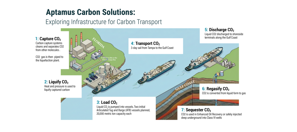 illustration of carbon capture process